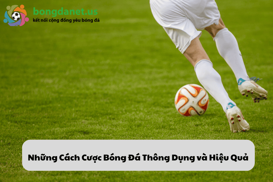 Những Cách Cược Bóng Đá Thông Dụng và Hiệu Quả