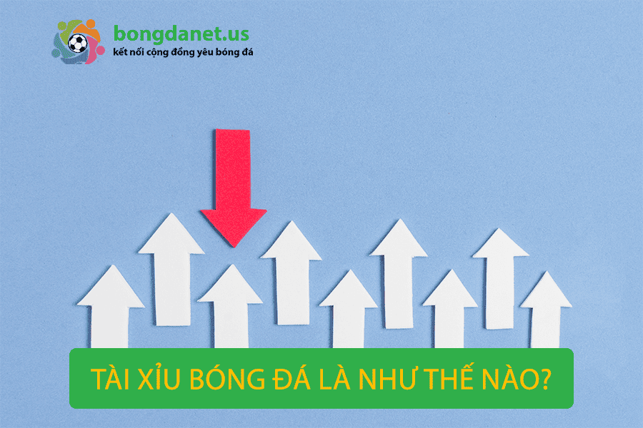 Tài Xỉu Bóng Đá Là Như Thế Nào?