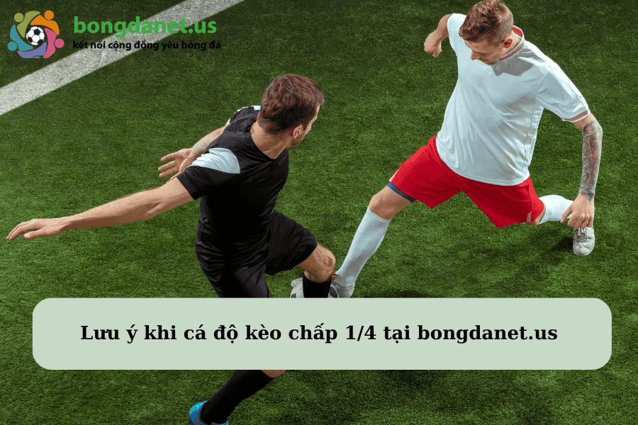 Lưu ý khi cá độ kèo chấp 1/4 tại bongdanet.us