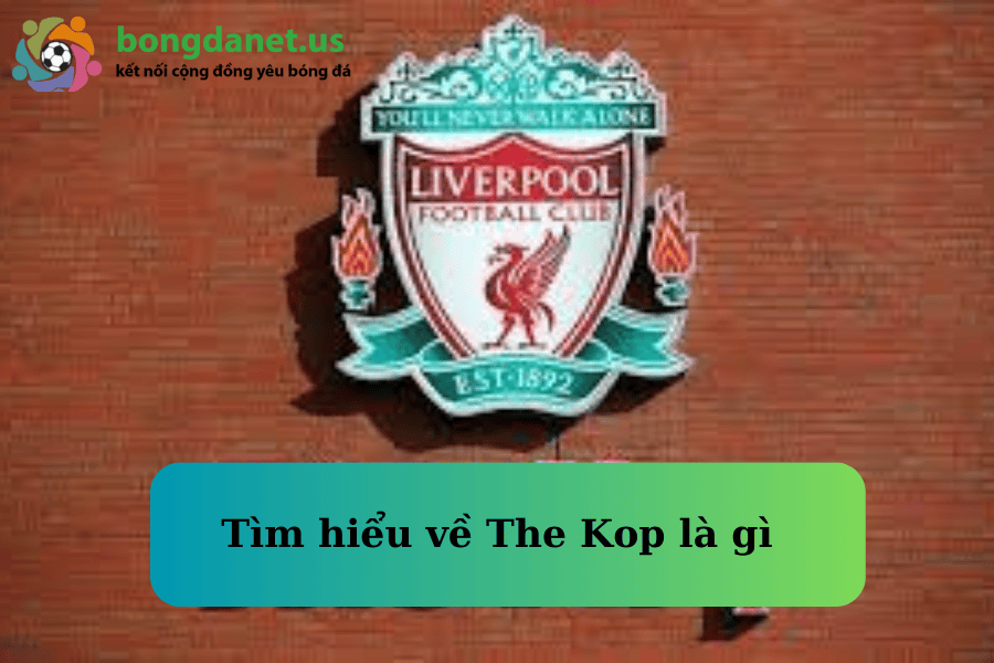 tim-hieu-ve-the-kop